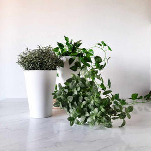 White Ceramic Plant Pot, Tall