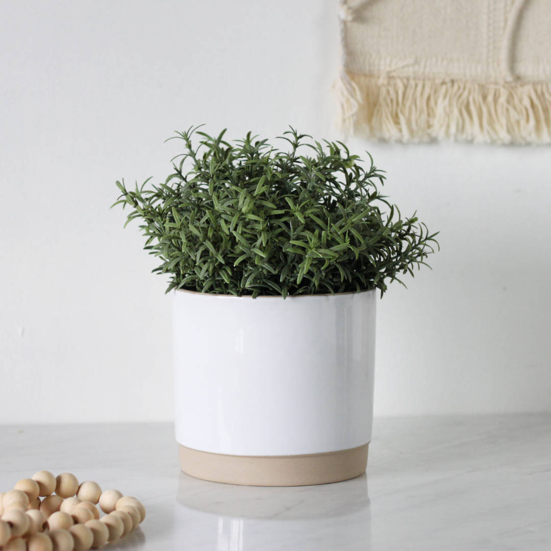 White and Natural Ceramic Plant Pot, 5"