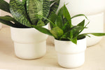 Load image into Gallery viewer, White plant pot
